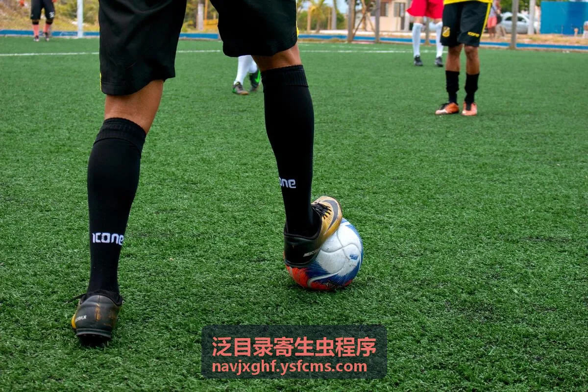 泛目录程序陌生页面收录排查